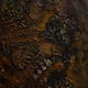 FOREST FLOOR