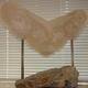 JANUS Back | | | Alabaster and stone JANUS Back