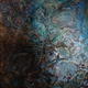 ABALONE