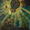 GREEN ECLIPSE