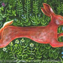 mr hare