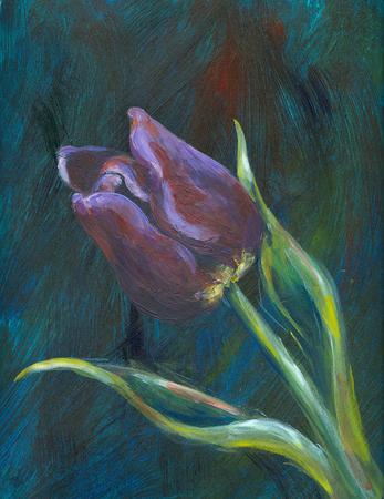 Tulip