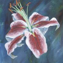 Lily 2
