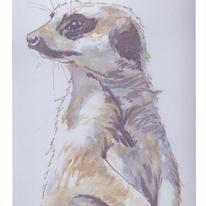 Meerkat Blank Greeting Card