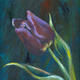 Tulip