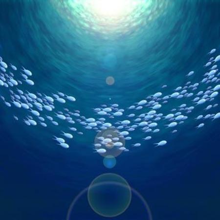 Crowded Oceans