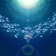 Crowded Oceans
