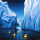 Duck in Arctic