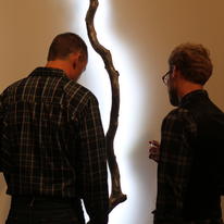 Looking at Light Branch