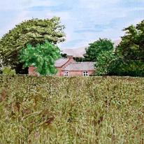 Beanfield at High Slakes