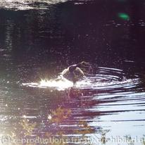 messing about on the water