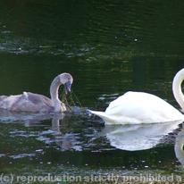 mother and child