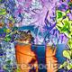 Cat nap | £40 | | Photo-Art Cat nap