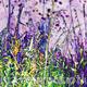 Meadow grasses