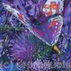 Butterfly on thistles