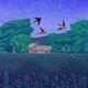 Swallows at High Slakes…