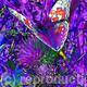 Butterfly on thistles | | | Photo-Art Butterfly on thistles