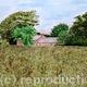 Beanfield 