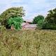 Beanfield at High Slakes | £150(sold) | 36 x 41cm | Watercolour Beanfield at High Slakes