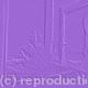 Purple mary