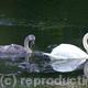 mother and child