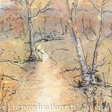 Bourne Woods - watercolour and ink