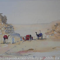 Camels at Giza