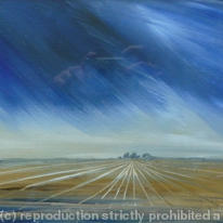 ploughed field