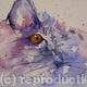cat#5