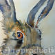 March Hare