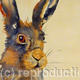 spring hare