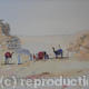 Camels at Giza
