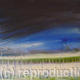 norfolk marsh