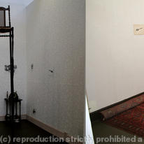 Installation View I