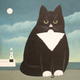 St Ives Cat