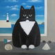 Cat with Shells