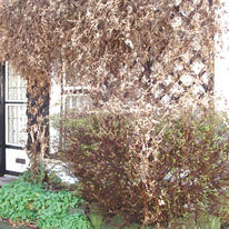 Hawkeshead doorway with latticework