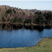 Tarn Howes