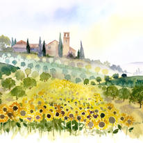 Sunflowers and Olive Groves