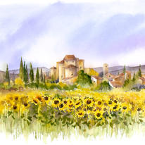 Sunflowers in Tuscany