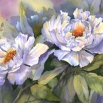 White Peonies