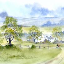 Country Walk