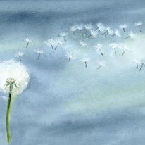 hidden artwork-232382