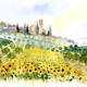 Sunflowers and Olive… | | 41 x 30cm | giclee print Sunflowers and Olive…