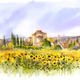 Sunflowers in Tuscany | | 40 x 30cm | giclee print Sunflowers in Tuscany
