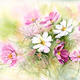 Cosmos | | 20 x 16cm | giclee print Cosmos