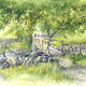 Bridge at Scafell Pike