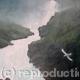 Lone Bird | £950 | 100 x 76cm | Oil on Canvas Lone Bird