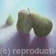 Three pears