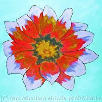 Anna's Daisy
